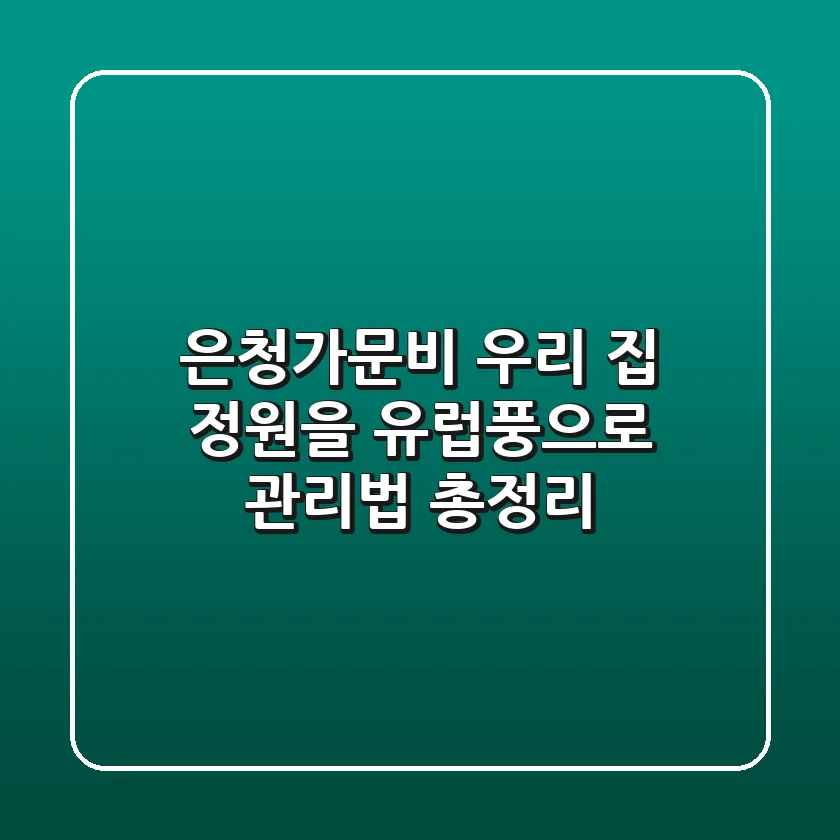 🏡 은청가문비, 우리 집 정원을 유럽풍으로! 관리법 총정리
