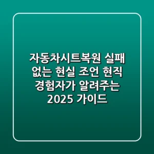 자동차시트복원, 실패 없는 현실 조언! 현직 경험자가 알려주는 2025 가이드