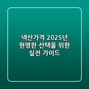 넥산가격: 2025년 현명한 선택을 위한 실전 가이드!