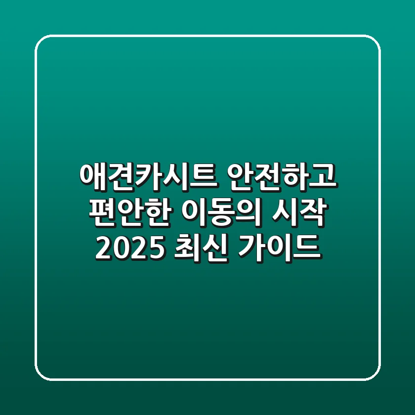 애견카시트, 안전하고 편안한 이동의 시작 (2025 최신 가이드)