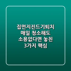 집먼지진드기퇴치, 매일 청소해도 소용없다면 놓친 3가지 핵심