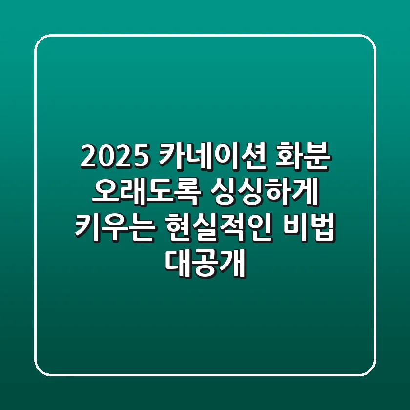 2025 카네이션 화분, 오래도록 싱싱하게 키우는 현실적인 비법 대공개