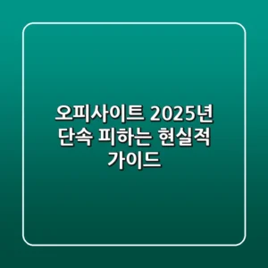 오피사이트, 2025년 단속 피하는 현실적 가이드