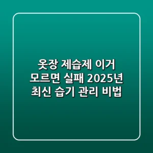 옷장 제습제, 이거 모르면 실패! 2025년 최신 습기 관리 비법