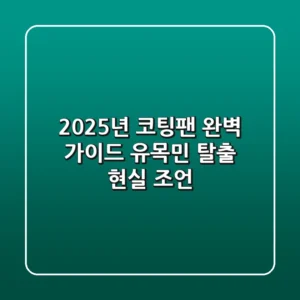 2025년 코팅팬 완벽 가이드: 유목민 탈출 현실 조언!