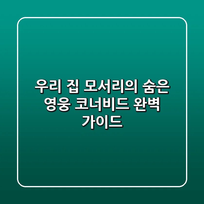 우리 집 모서리의 숨은 영웅, 코너비드 완벽 가이드!