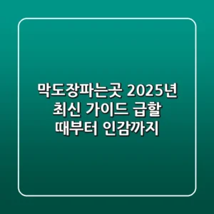 막도장파는곳, 2025년 최신 가이드: 급할 때부터 인감까지!