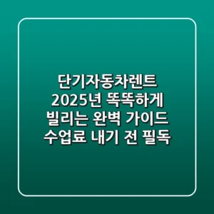 단기자동차렌트: 2025년 똑똑하게 빌리는 완벽 가이드 (수업료 내기 전 필독!)
