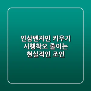 인삼벤자민 키우기, 시행착오 줄이는 현실적인 조언