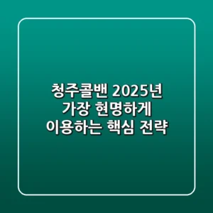 청주콜밴, 2025년 가장 현명하게 이용하는 핵심 전략