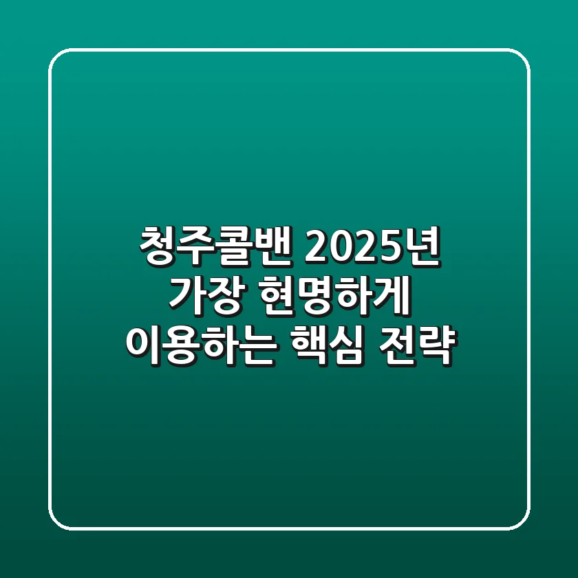 청주콜밴, 2025년 가장 현명하게 이용하는 핵심 전략