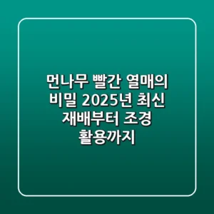 먼나무, 빨간 열매의 비밀: 2025년 최신 재배부터 조경 활용까지