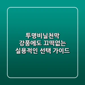 투명비닐천막, 강풍에도 끄떡없는 실용적인 선택 가이드