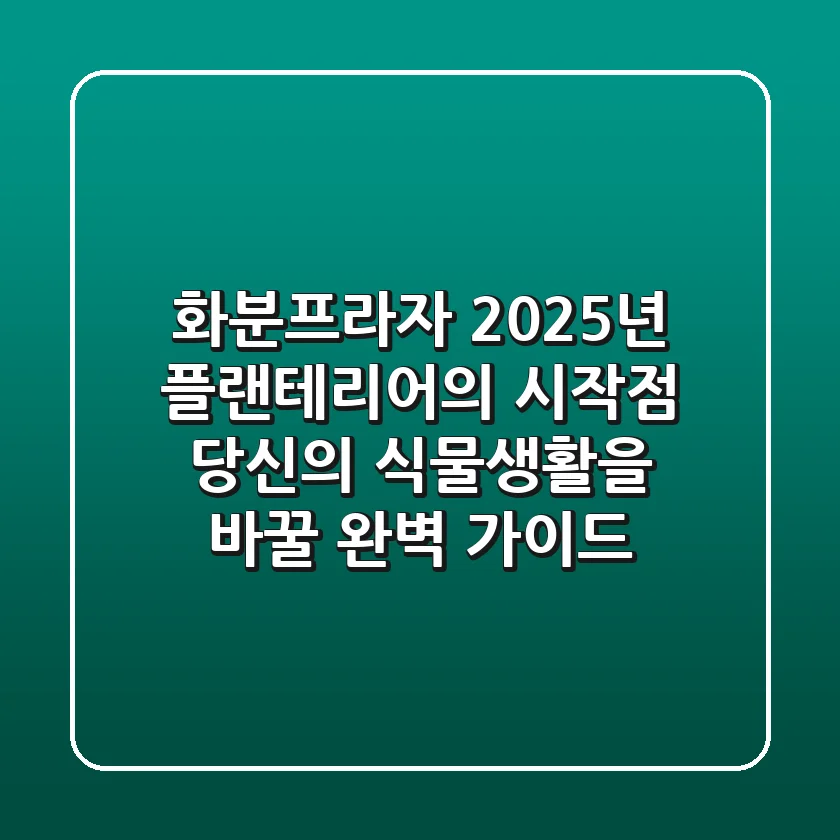 화분프라자, 2025년 플랜테리어의 시작점: 당신의 식물생활을 바꿀 완벽 가이드