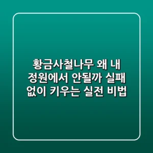 황금사철나무, 왜 내 정원에서 안될까? 실패 없이 키우는 실전 비법