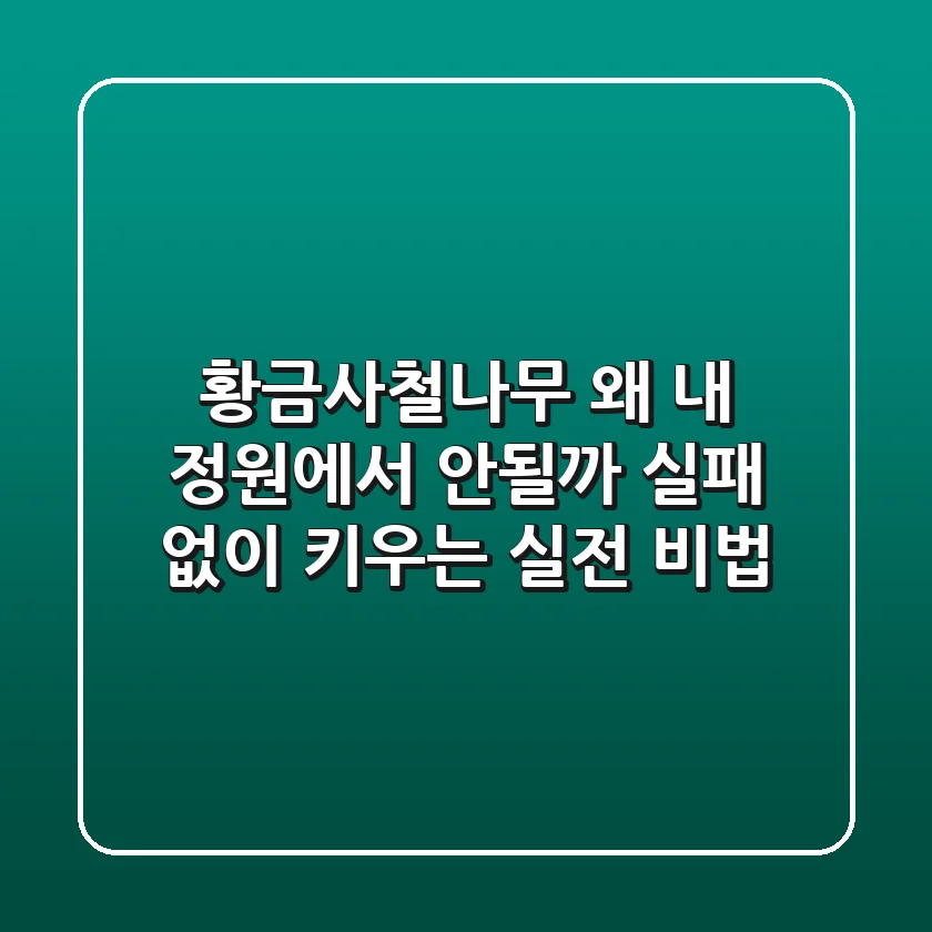 황금사철나무, 왜 내 정원에서 안될까? 실패 없이 키우는 실전 비법
