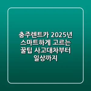 충주렌트카 2025년, 스마트하게 고르는 꿀팁! 사고대차부터 일상까지