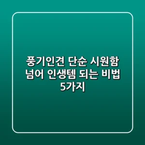 풍기인견, 단순 시원함 넘어 '인생템' 되는 비법 5가지