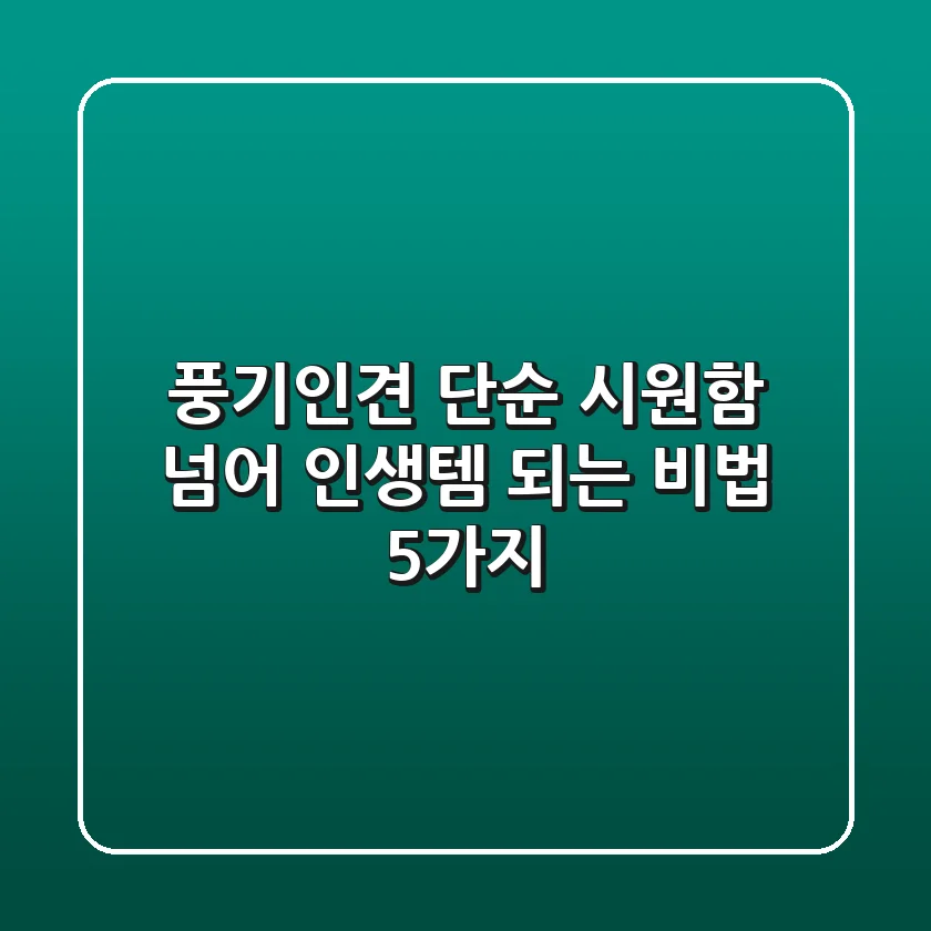 풍기인견, 단순 시원함 넘어 '인생템' 되는 비법 5가지