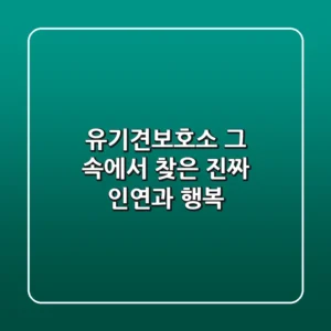 유기견보호소, 그 속에서 찾은 진짜 인연과 행복