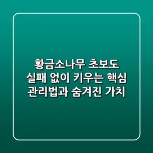 황금소나무, 초보도 실패 없이 키우는 핵심 관리법과 숨겨진 가치