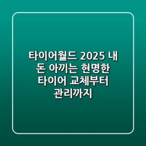 타이어월드 2025: 내 돈 아끼는 현명한 타이어 교체부터 관리까지!