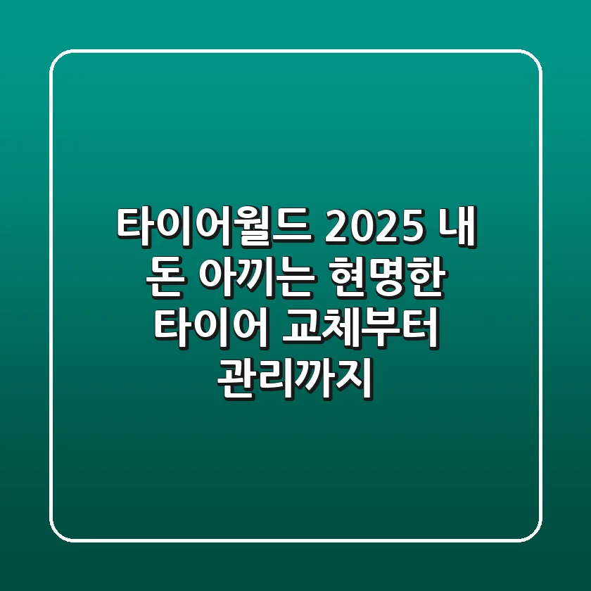 타이어월드 2025: 내 돈 아끼는 현명한 타이어 교체부터 관리까지!