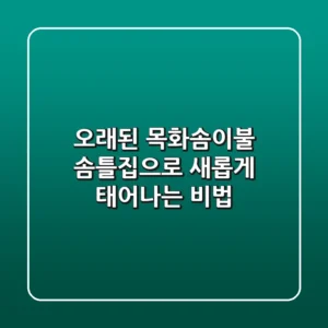 오래된 목화솜이불, 솜틀집으로 새롭게 태어나는 비법