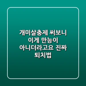 개미살충제? 써보니 이게 만능이 아니더라고요 (진짜 퇴치법)