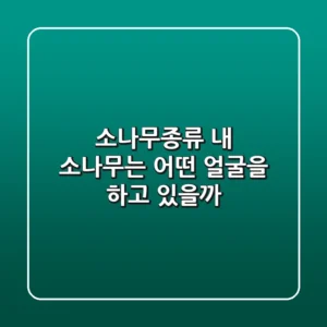 소나무종류, 내 소나무는 어떤 얼굴을 하고 있을까?