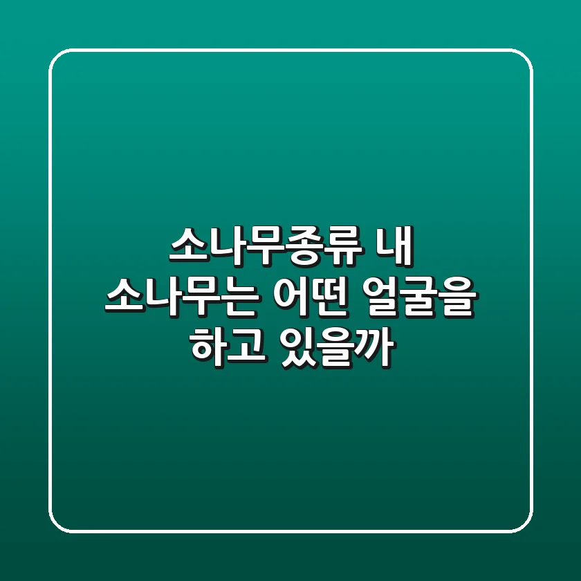 소나무종류, 내 소나무는 어떤 얼굴을 하고 있을까?