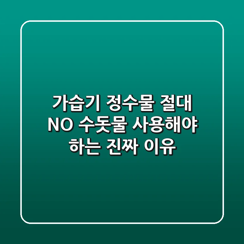 가습기 정수물? 절대 NO! 수돗물 사용해야 하는 진짜 이유