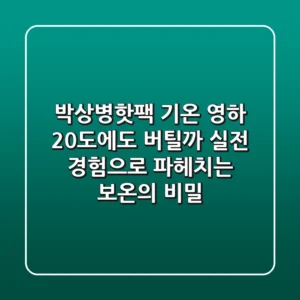 박상병핫팩 기온, 영하 20도에도 버틸까? 실전 경험으로 파헤치는 보온의 비밀