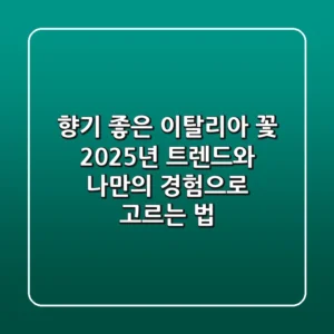 향기 좋은 이탈리아 꽃, 2025년 트렌드와 나만의 경험으로 고르는 법