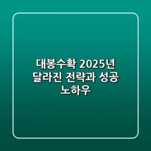 대봉수확, 2025년 달라진 전략과 성공 노하우