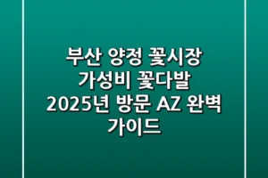 부산 양정 꽃시장 가성비 꽃다발? 2025년 방문 A-Z 완벽 가이드!