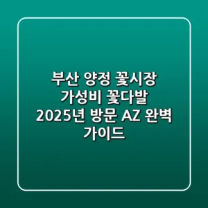 부산 양정 꽃시장 가성비 꽃다발? 2025년 방문 A-Z 완벽 가이드!
