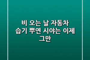 비 오는 날 자동차 습기, 뿌연 시야는 이제 그만!