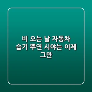 비 오는 날 자동차 습기, 뿌연 시야는 이제 그만!