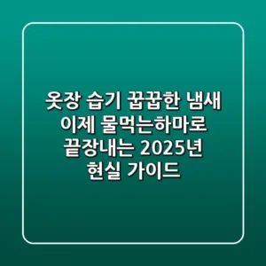 옷장 습기, 꿉꿉한 냄새, 이제 '물먹는하마'로 끝장내는 2025년 현실 가이드