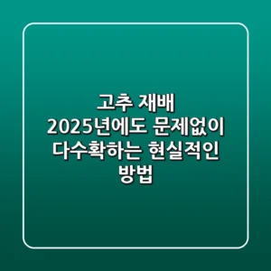고추 재배, 2025년에도 문제없이 다수확하는 현실적인 방법