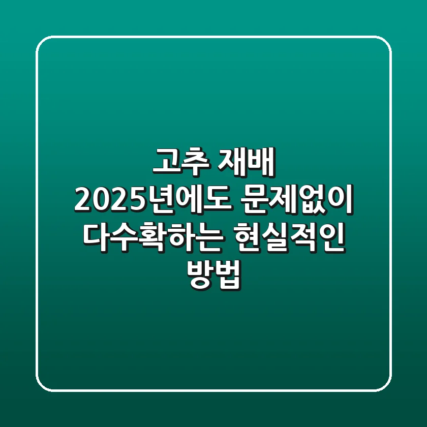 고추 재배, 2025년에도 문제없이 다수확하는 현실적인 방법