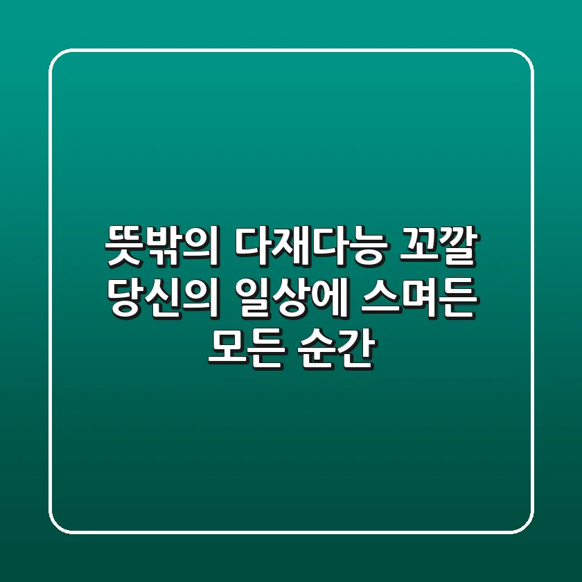 뜻밖의 다재다능! 꼬깔, 당신의 일상에 스며든 모든 순간