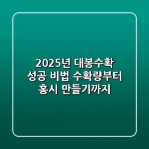 2025년 대봉수확 성공 비법: 수확량부터 홍시 만들기까지