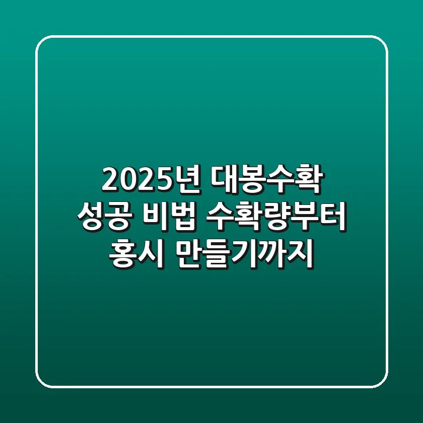 2025년 대봉수확 성공 비법: 수확량부터 홍시 만들기까지