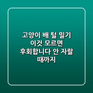 고양이 배 털 밀기, 이것 모르면 후회합니다: 안 자랄 때까지?