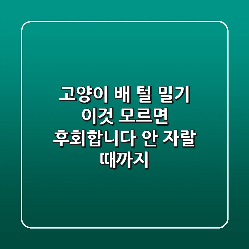 고양이 배 털 밀기, 이것 모르면 후회합니다: 안 자랄 때까지?
