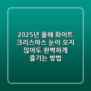 2025년 올해 화이트 크리스마스, 눈이 오지 않아도 완벽하게 즐기는 방법