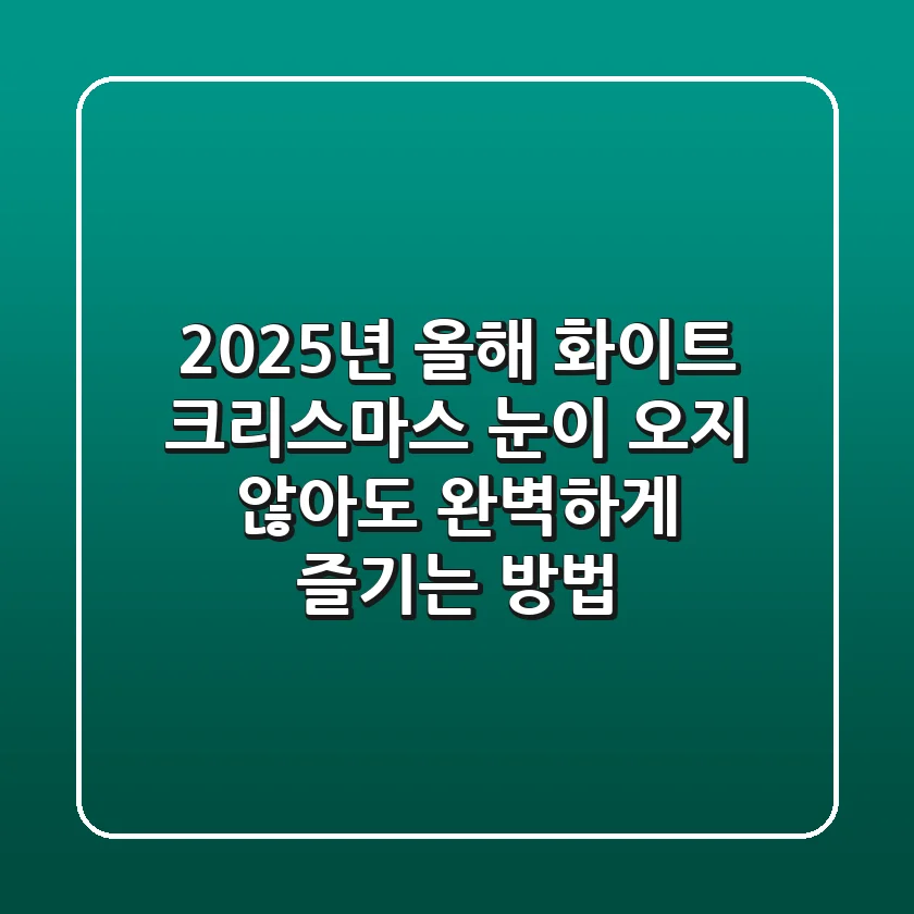 2025년 올해 화이트 크리스마스, 눈이 오지 않아도 완벽하게 즐기는 방법