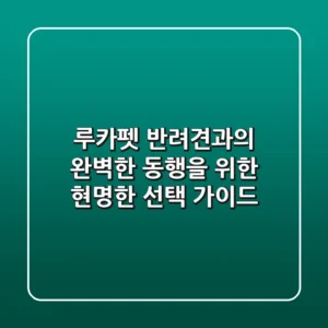 루카펫, 반려견과의 완벽한 동행을 위한 현명한 선택 가이드